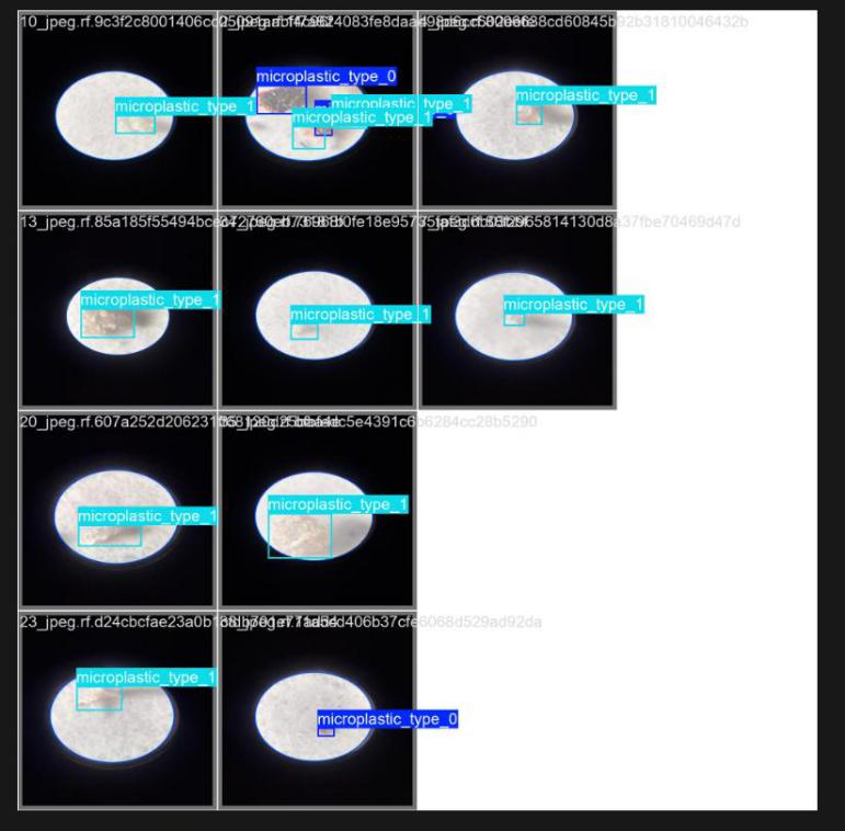 Grid of microscopy samples with YOLOv8 bounding boxes labelling microplastic types