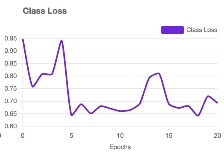Class loss curve across 20 training epochs